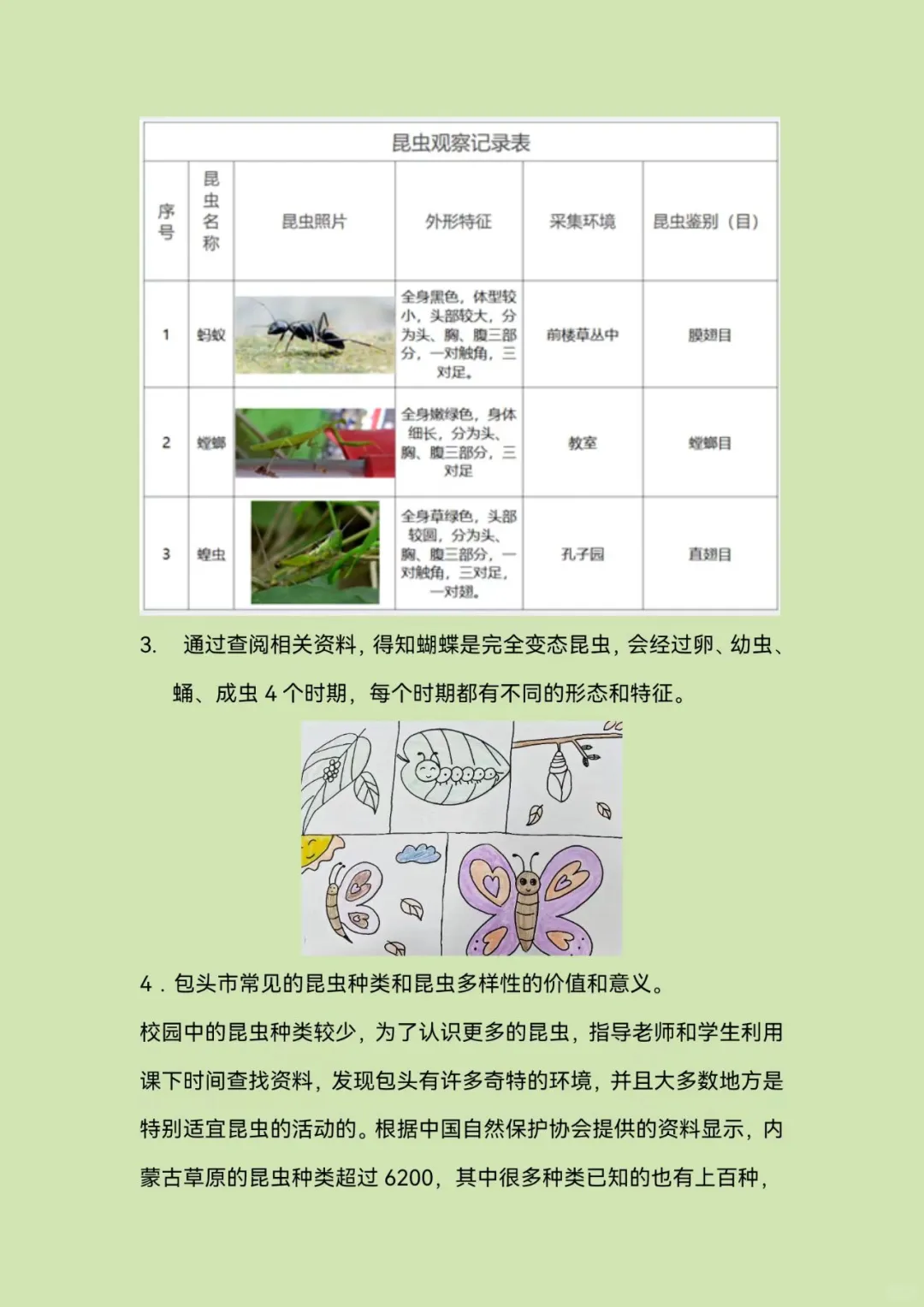 青少年科学调查体验活动—科学调查报告