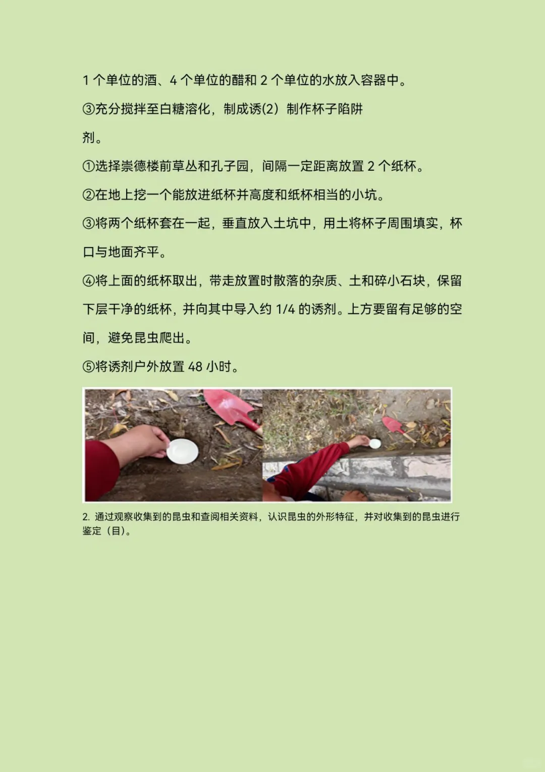 青少年科学调查体验活动—科学调查报告