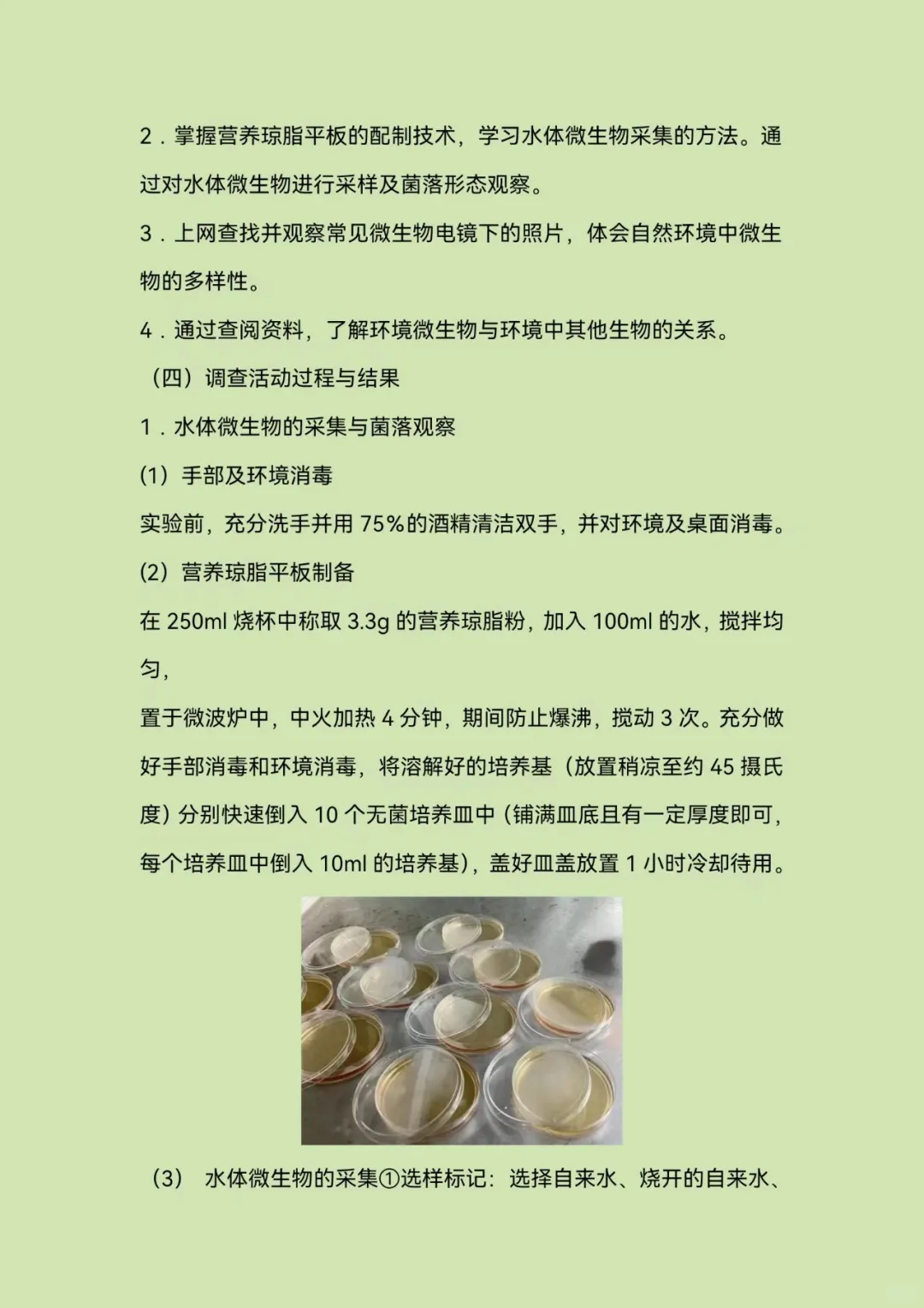 青少年科学调查体验活动—科学调查报告