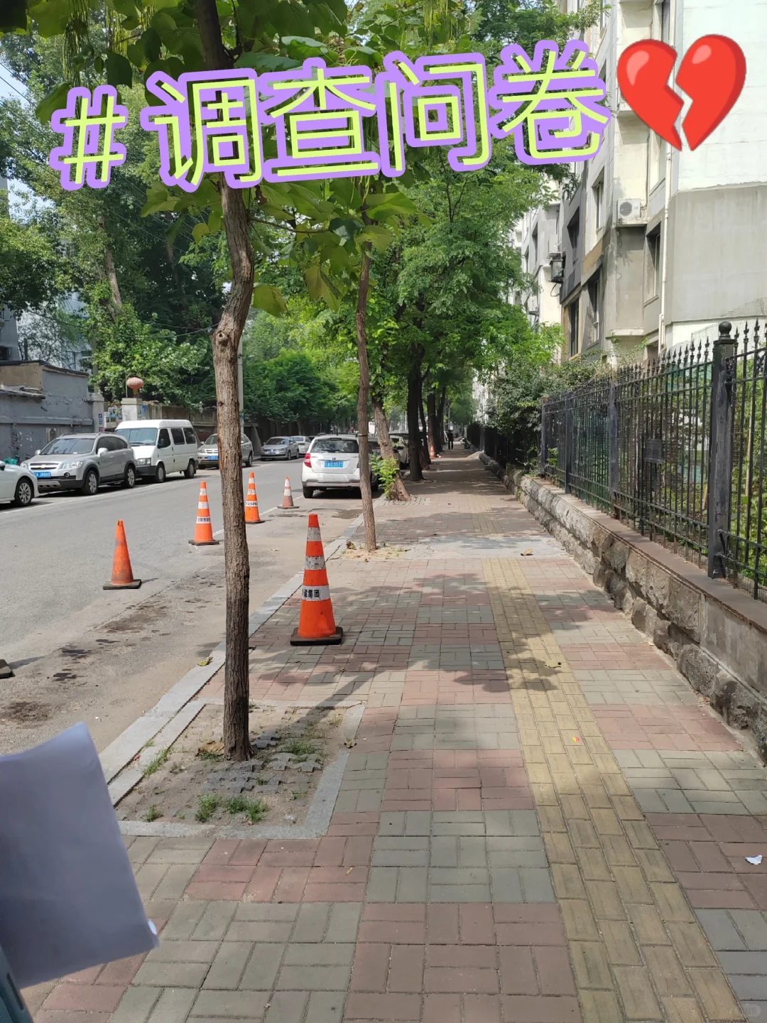 苍白无力的大学生做调研