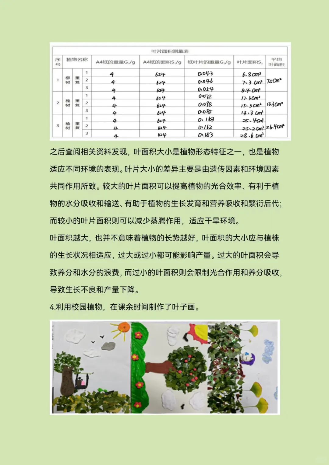 青少年科学调查体验活动—科学调查报告