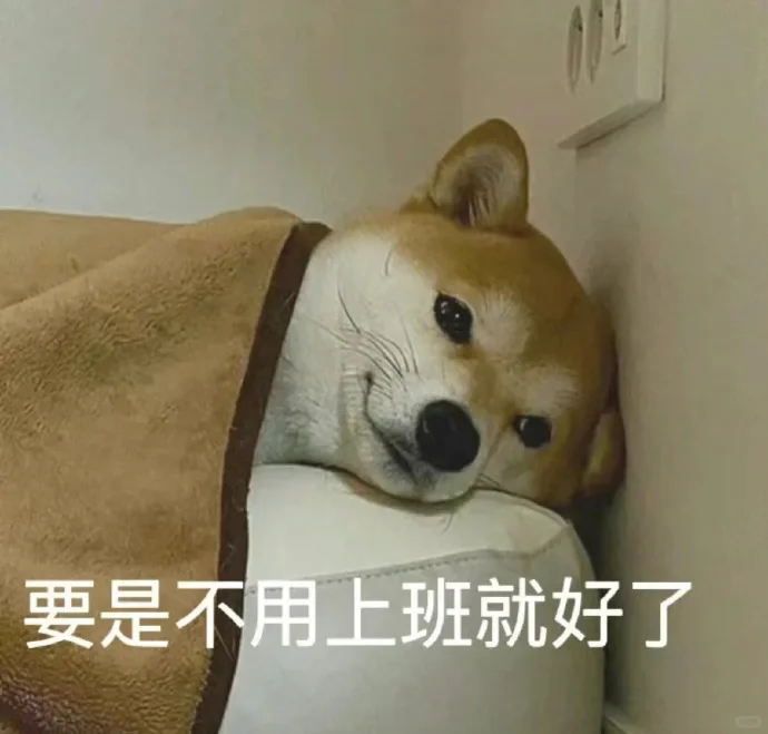 第一份行研实习其实真的很好找