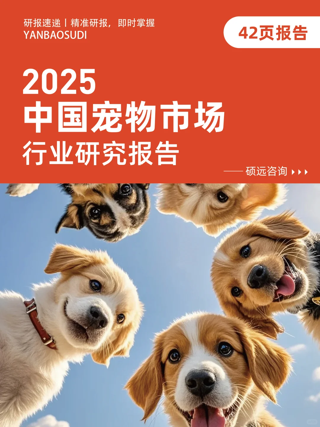 2025年中国宠物市场行业研究报告,宠物市场