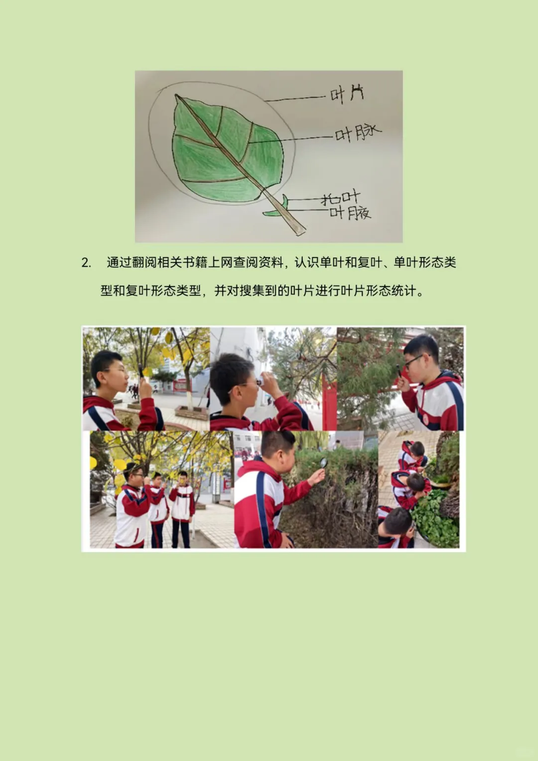 青少年科学调查体验活动—科学调查报告