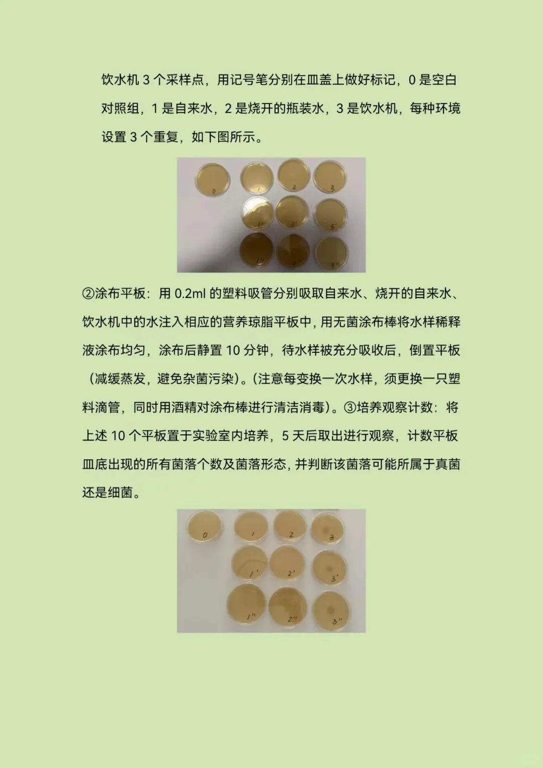 青少年科学调查体验活动—科学调查报告