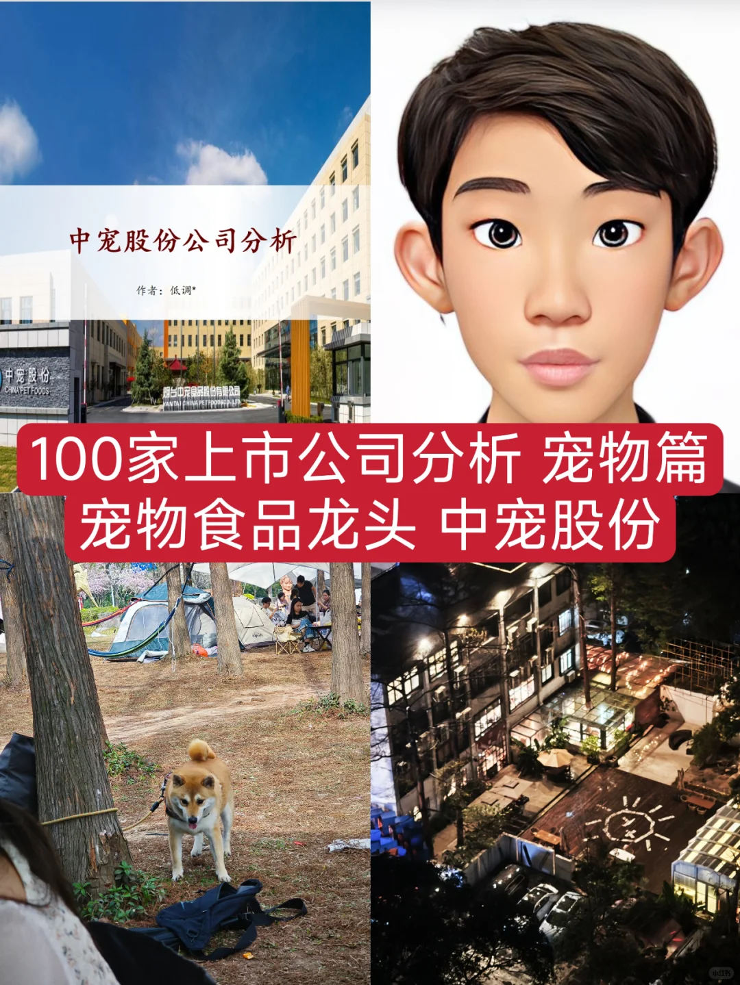 研报分析（宠物篇）——中宠股份