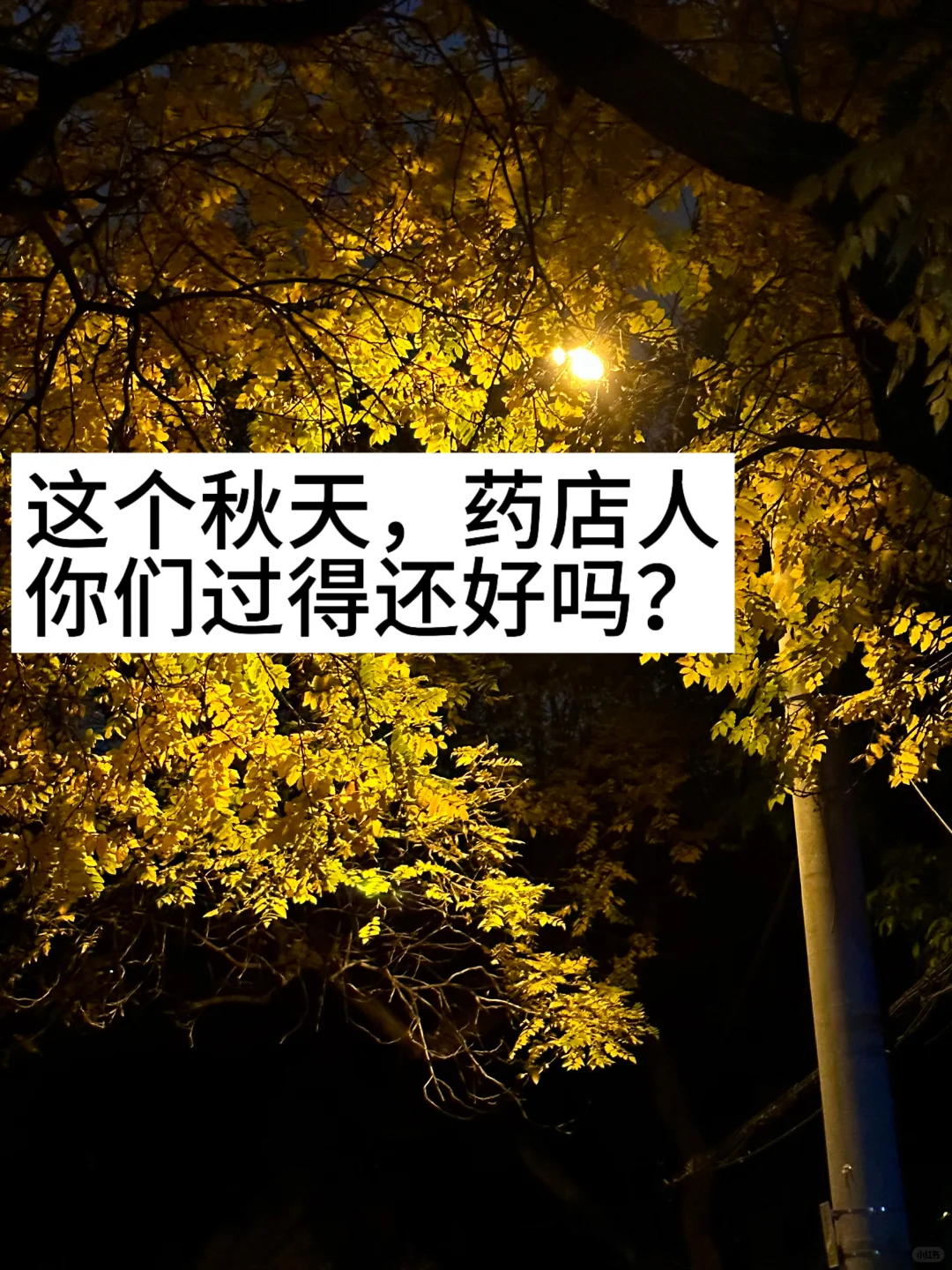 这个秋天，你们还好吗？