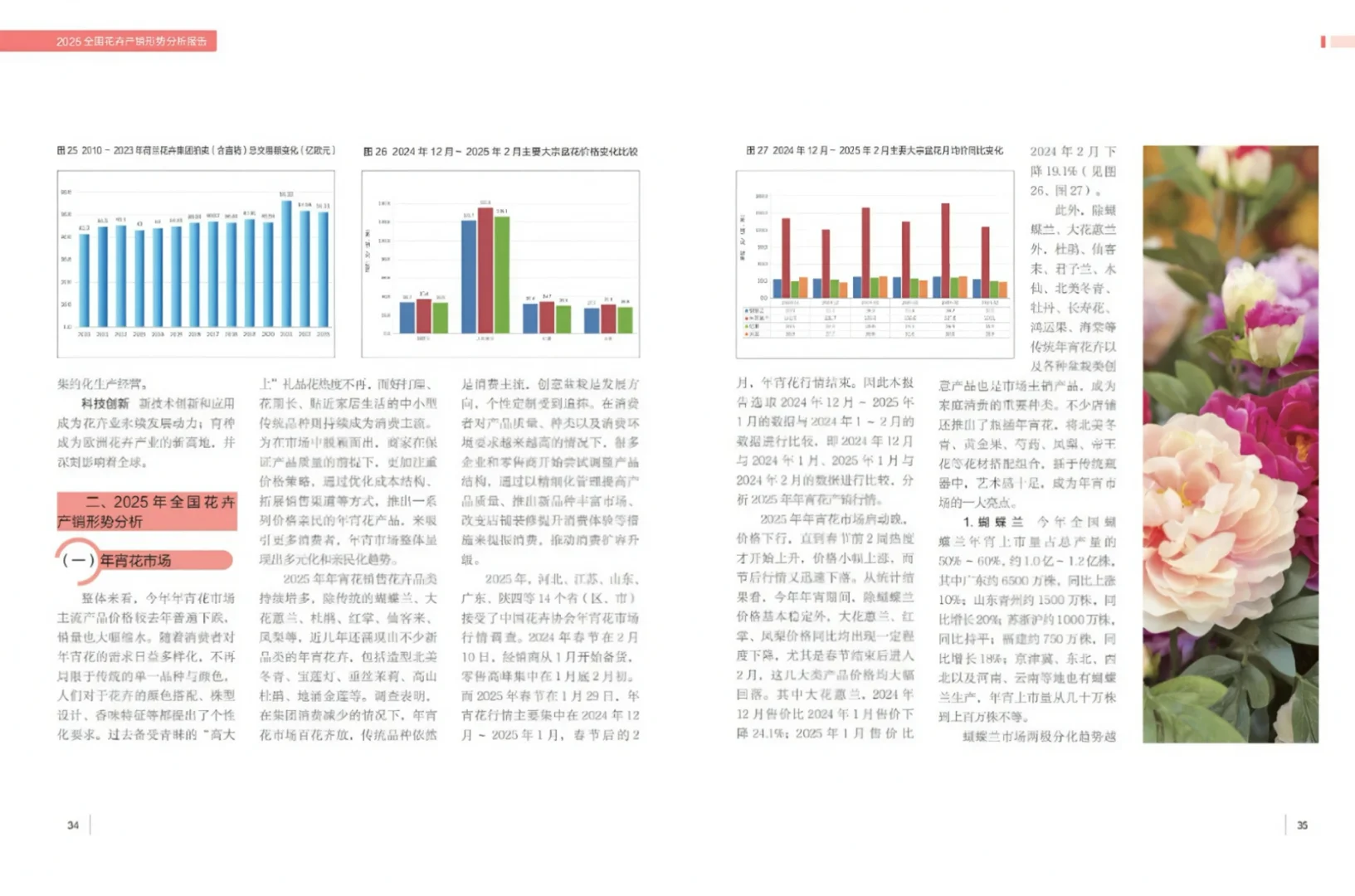 🌺2025中国花卉产业报告全解析！趋势+避坑
