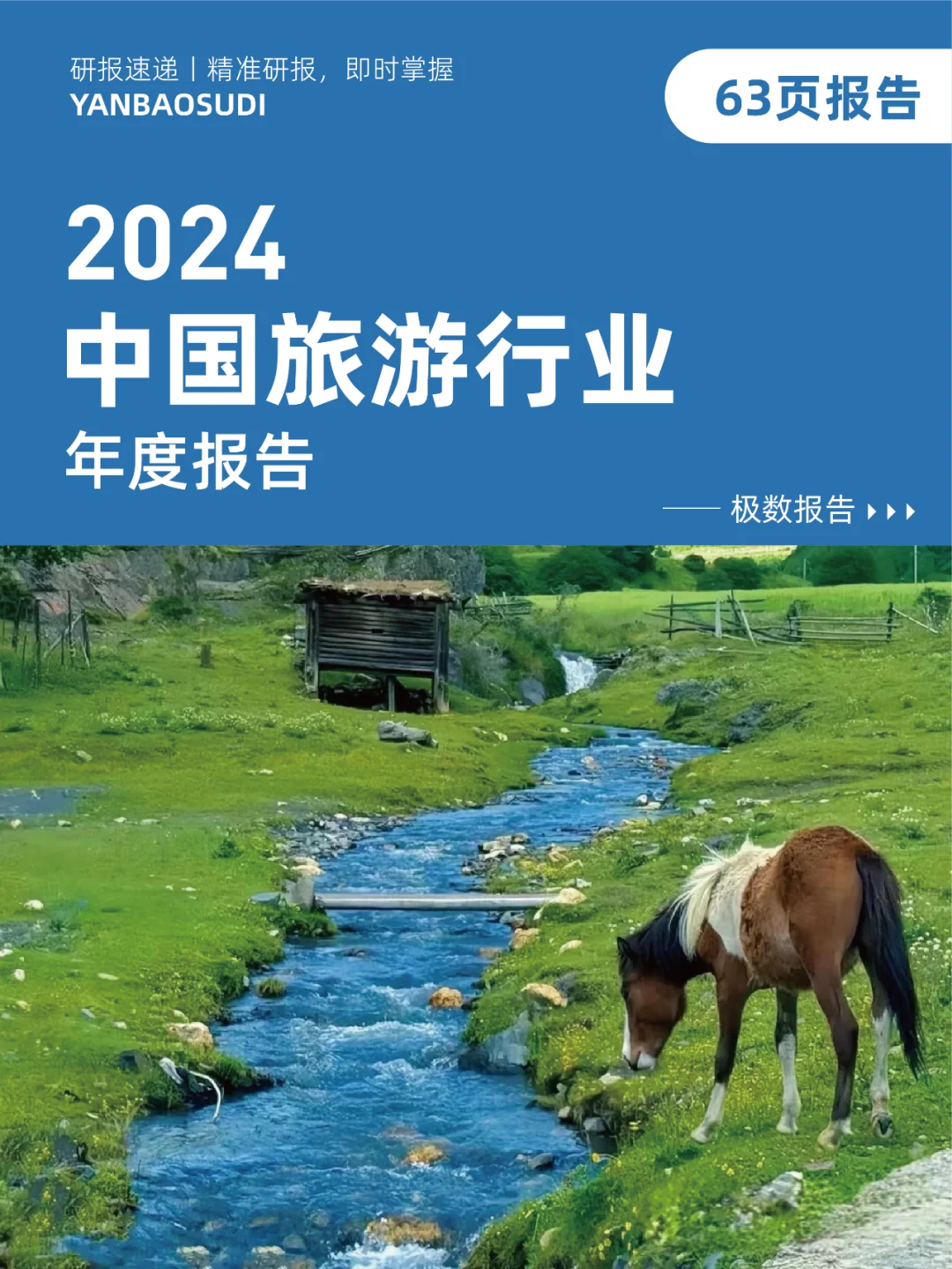 2024中国旅游行业年度报告，旅游报告分析