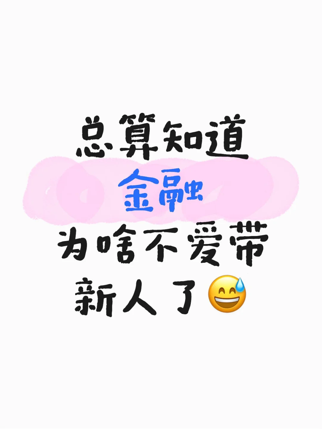 总算知道金融前辈为啥不爱带新人了😅