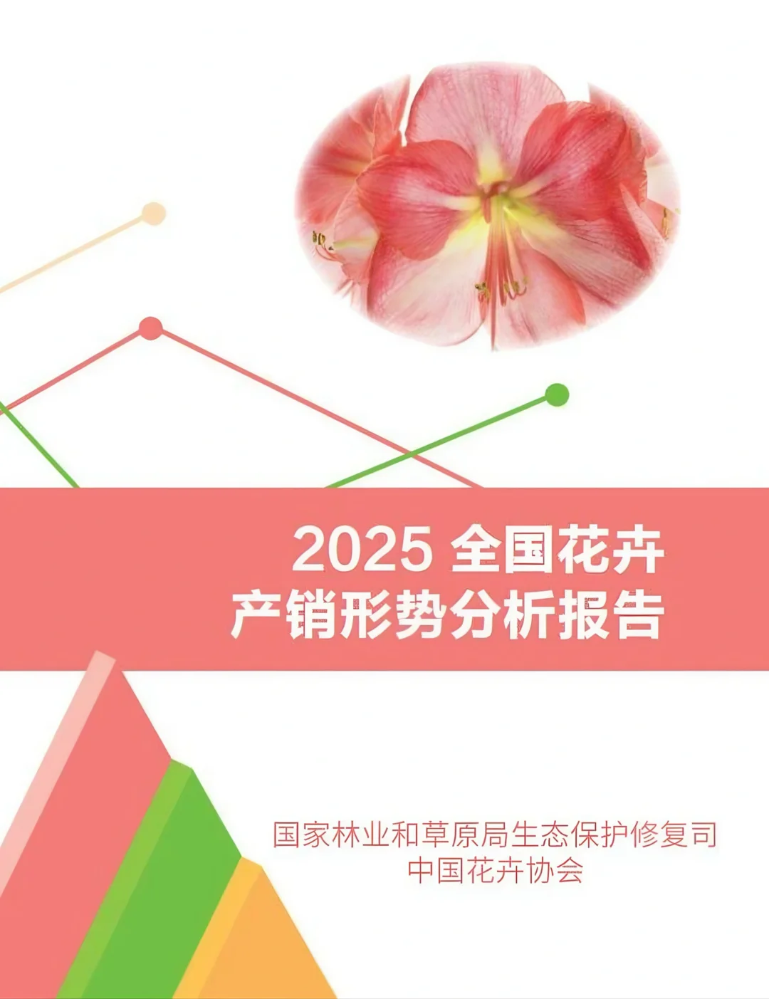 🌺2025中国花卉产业报告全解析！趋势+避坑