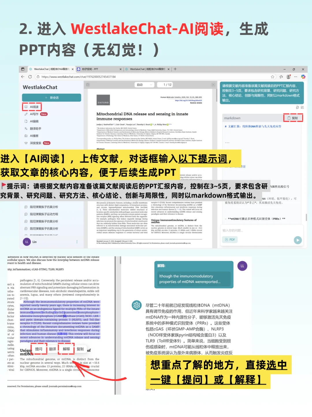 研究生必看 | 组会PPT一晚逆袭经验