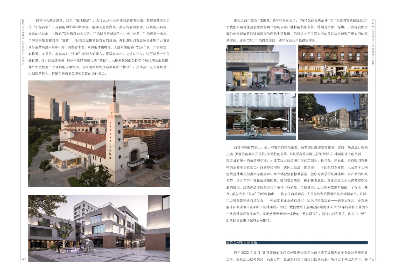 《2023上半年商业市场调研与分析报告》