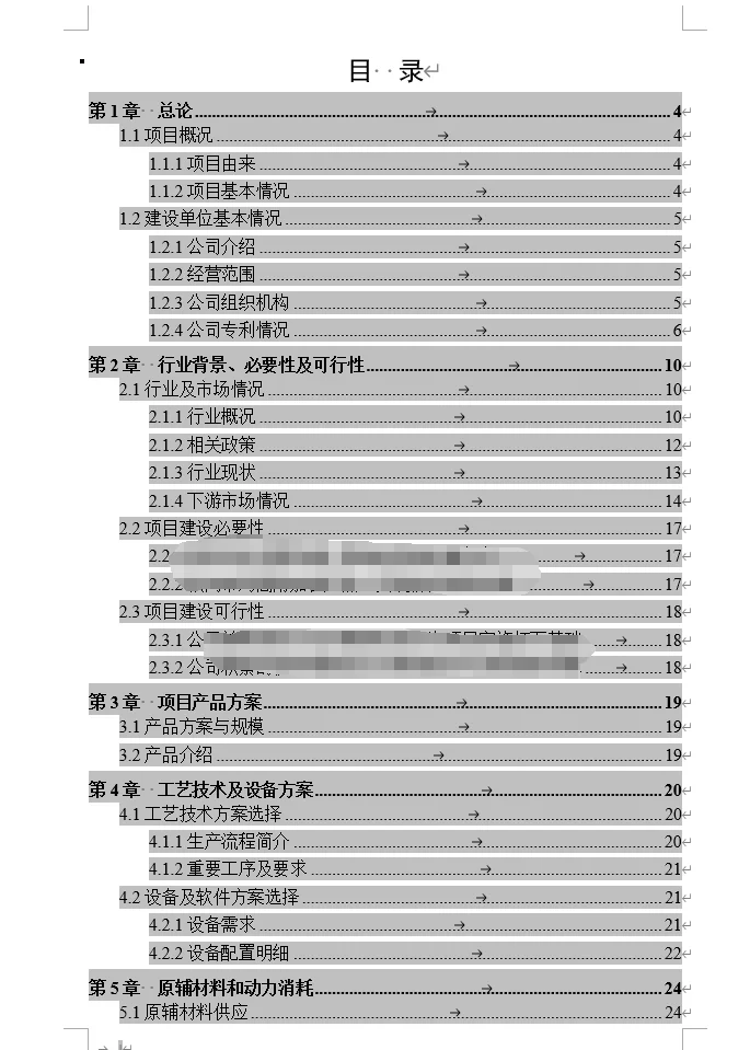 又一篇可行性研究报告