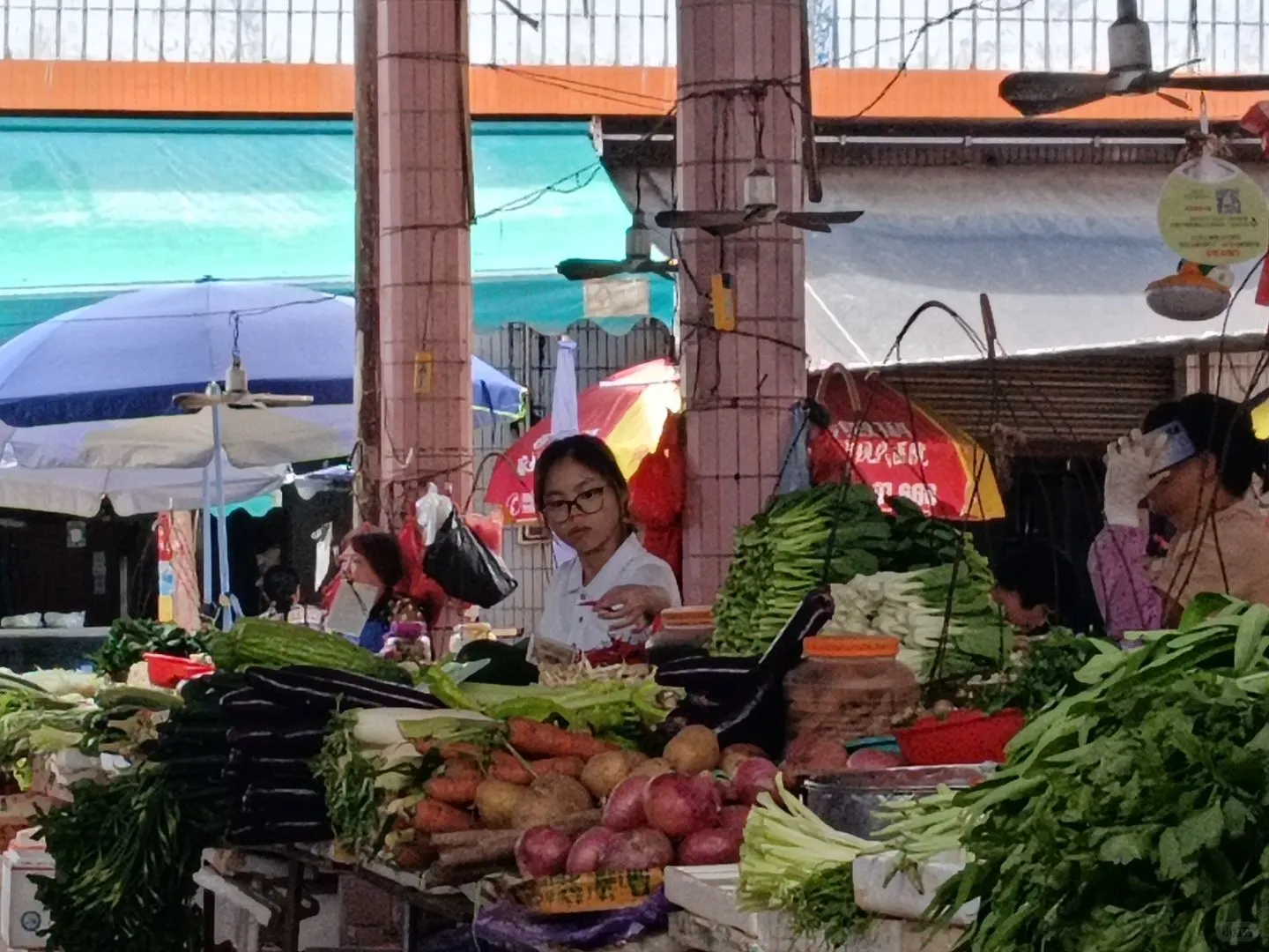 调研农贸商店，探寻乡村商业脉络