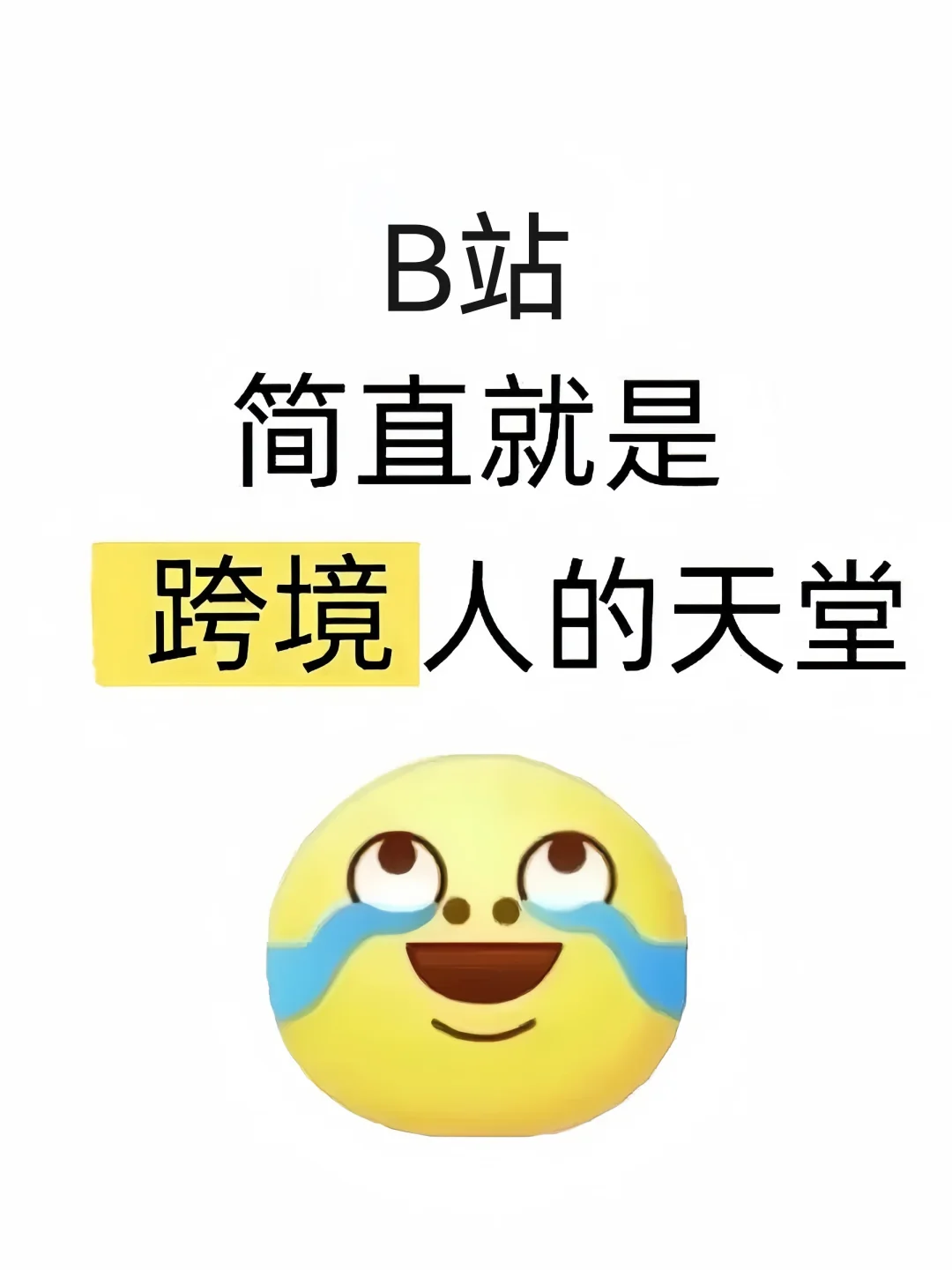 B 站简直就是跨境人的天堂