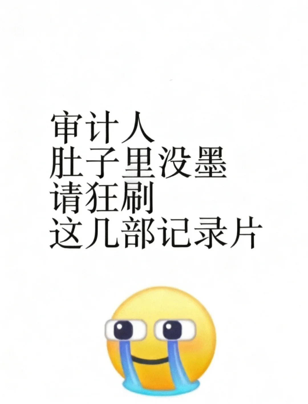 审计人，肚子里没墨，就狂刷这几部纪录片