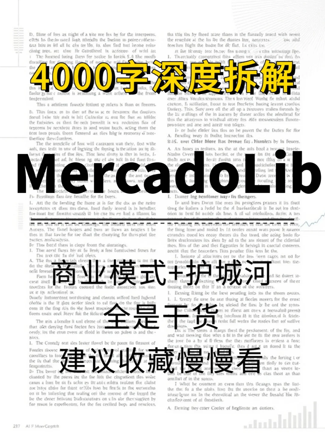 MercadoLibre Inc 4000 字深度研报