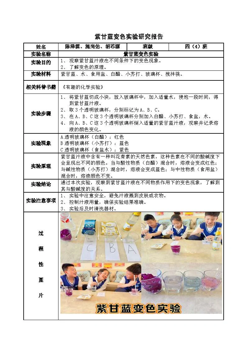 紫甘蓝变色实验研究报告