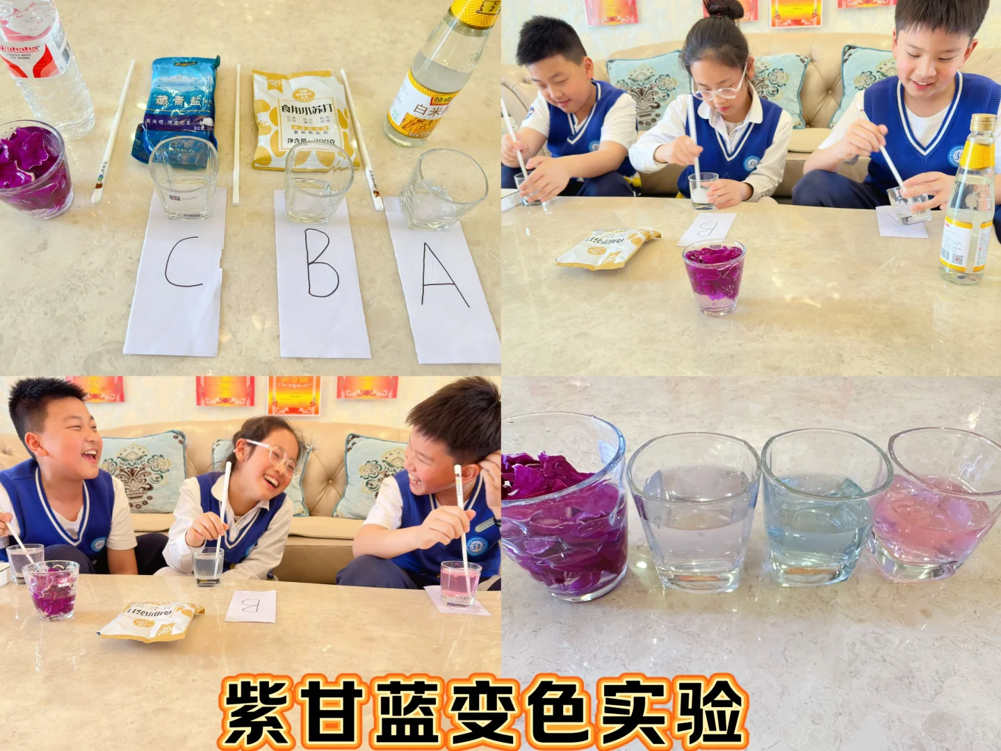 紫甘蓝变色实验研究报告