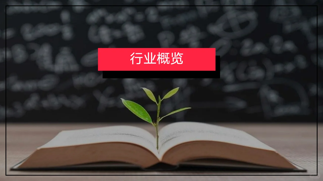 小红书2024年教育行业月报