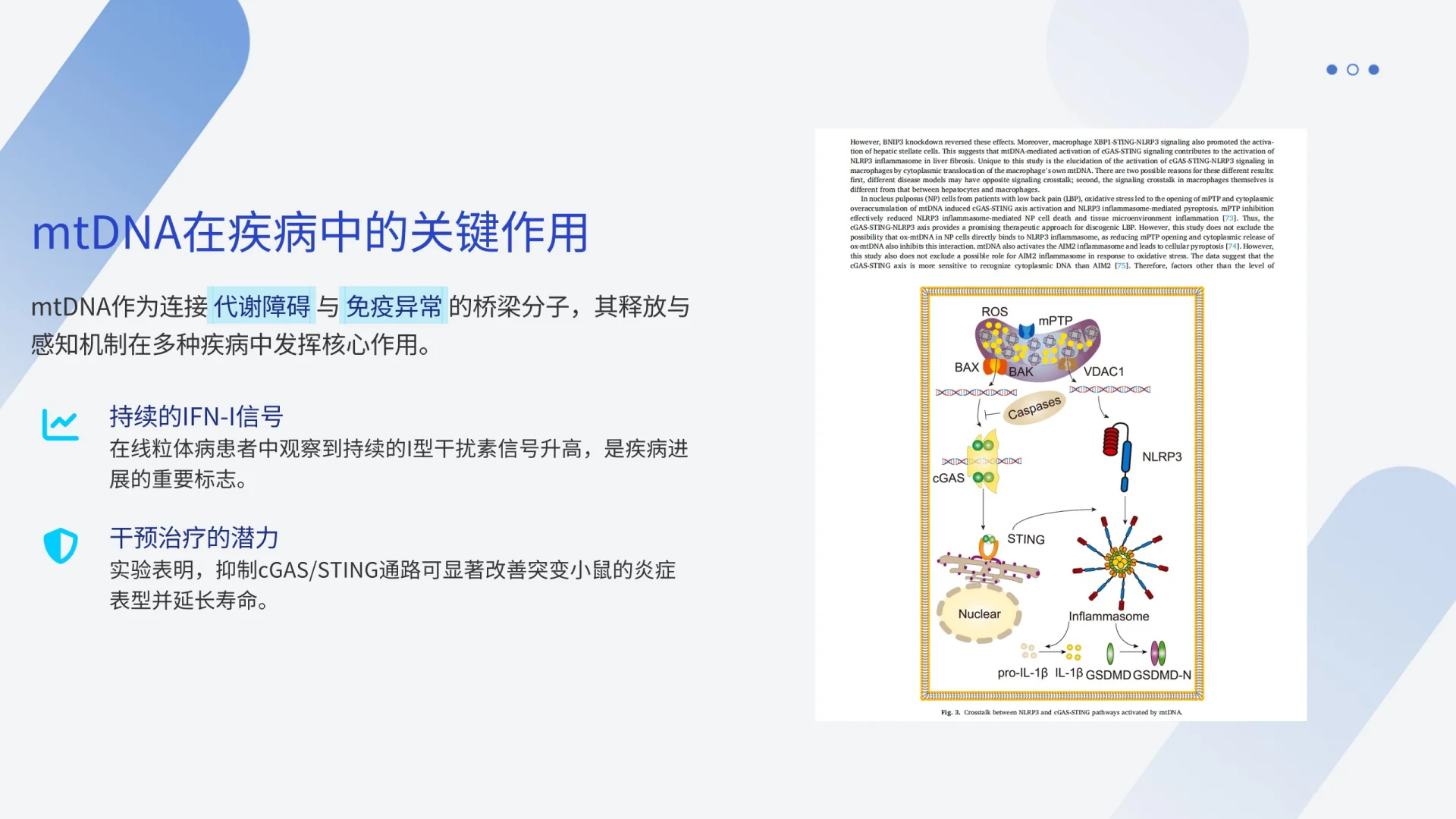 研究生必看 | 组会PPT一晚逆袭经验