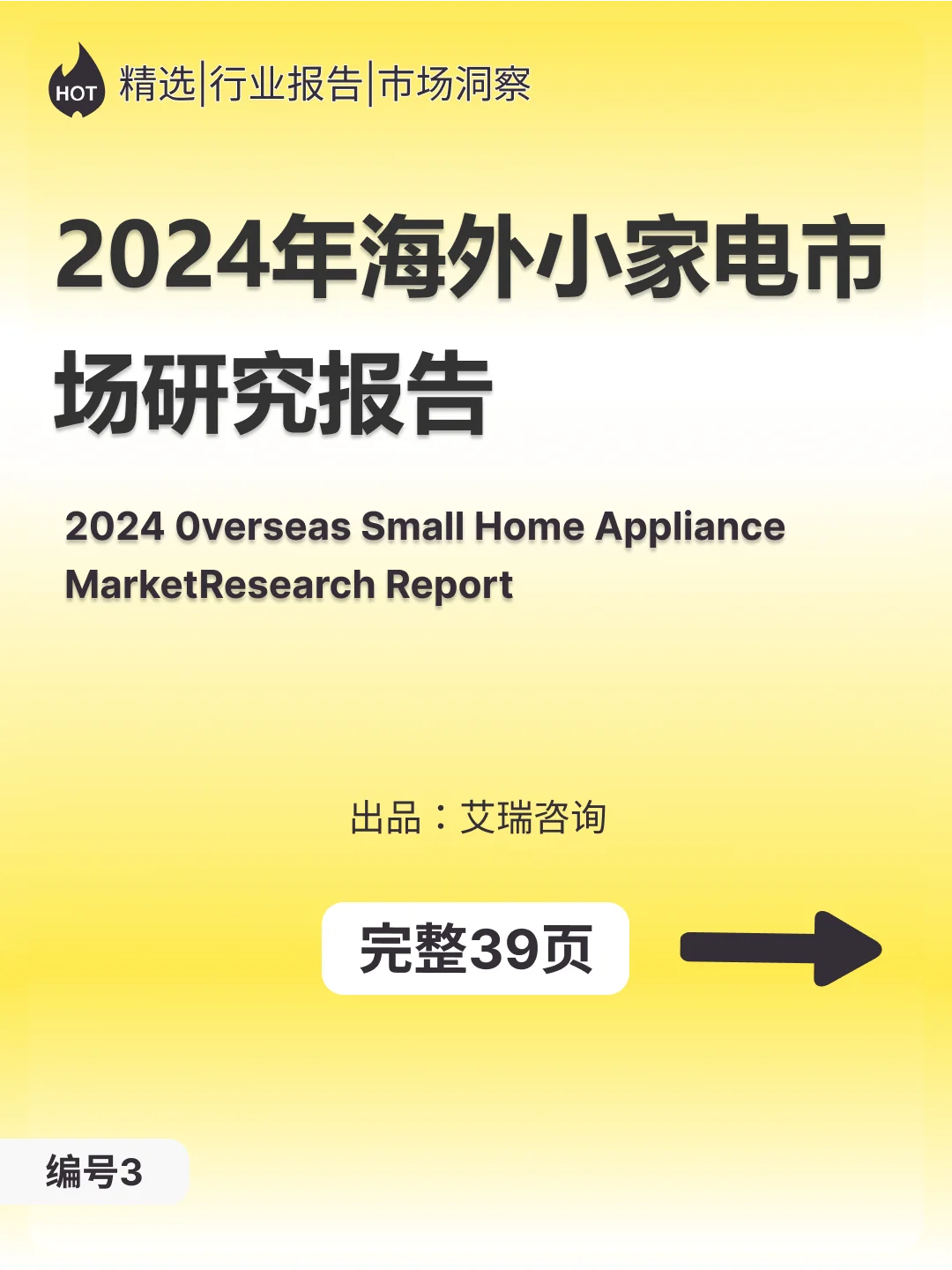 2024年海外小家电市场研究报告