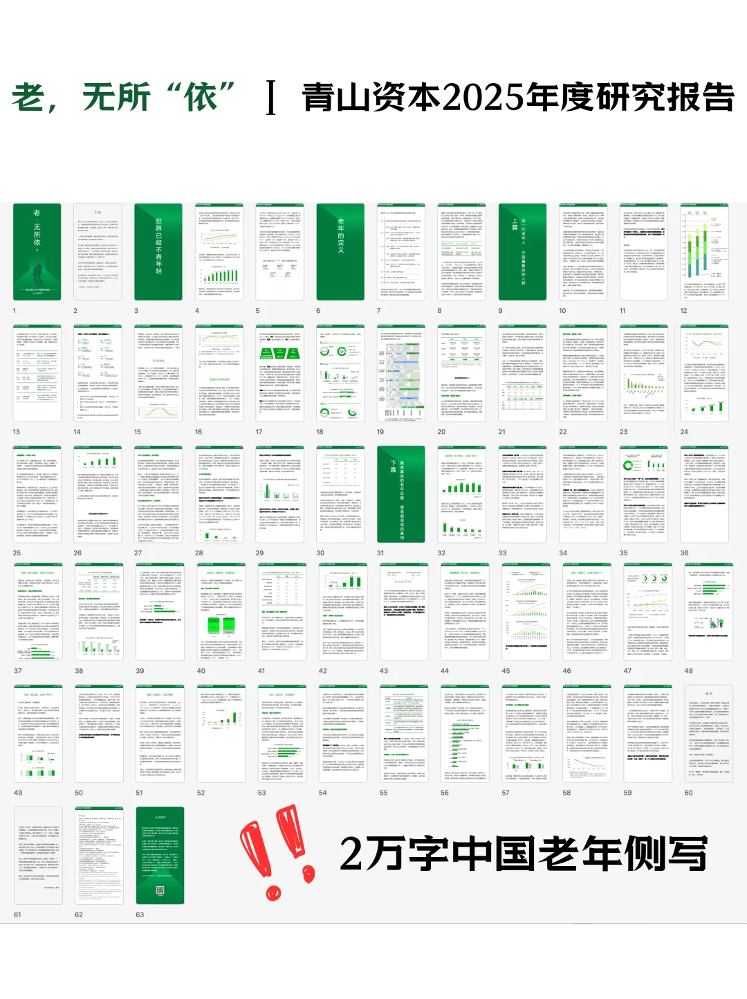 嗨，青山提醒你有报告待查收☝