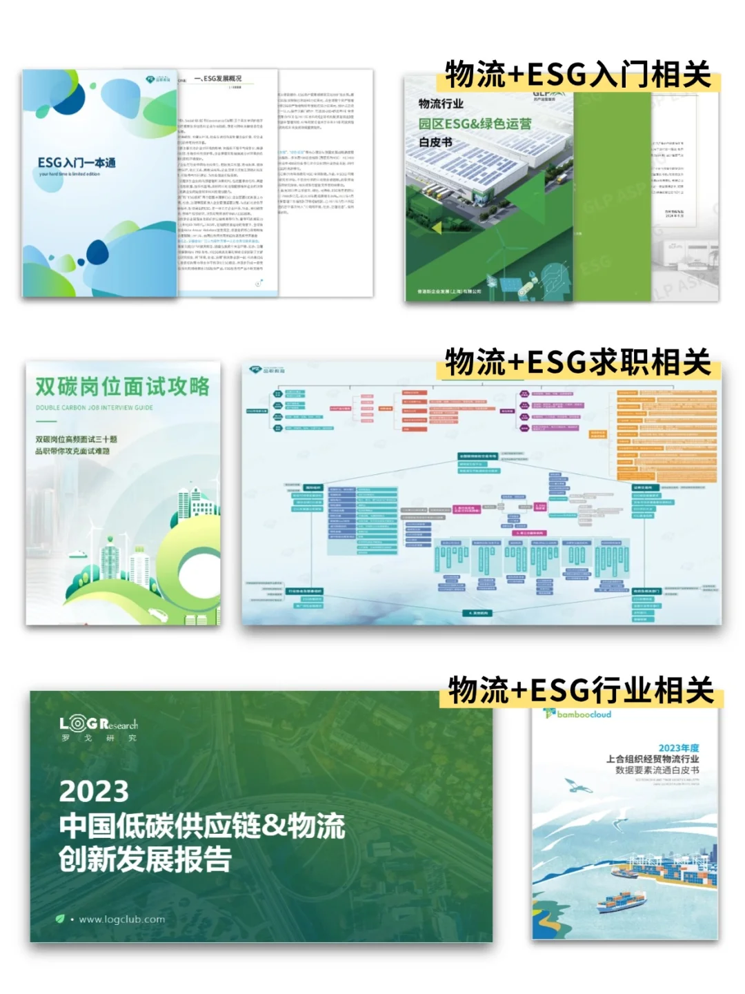今年物流新方向简直赢麻了！！！