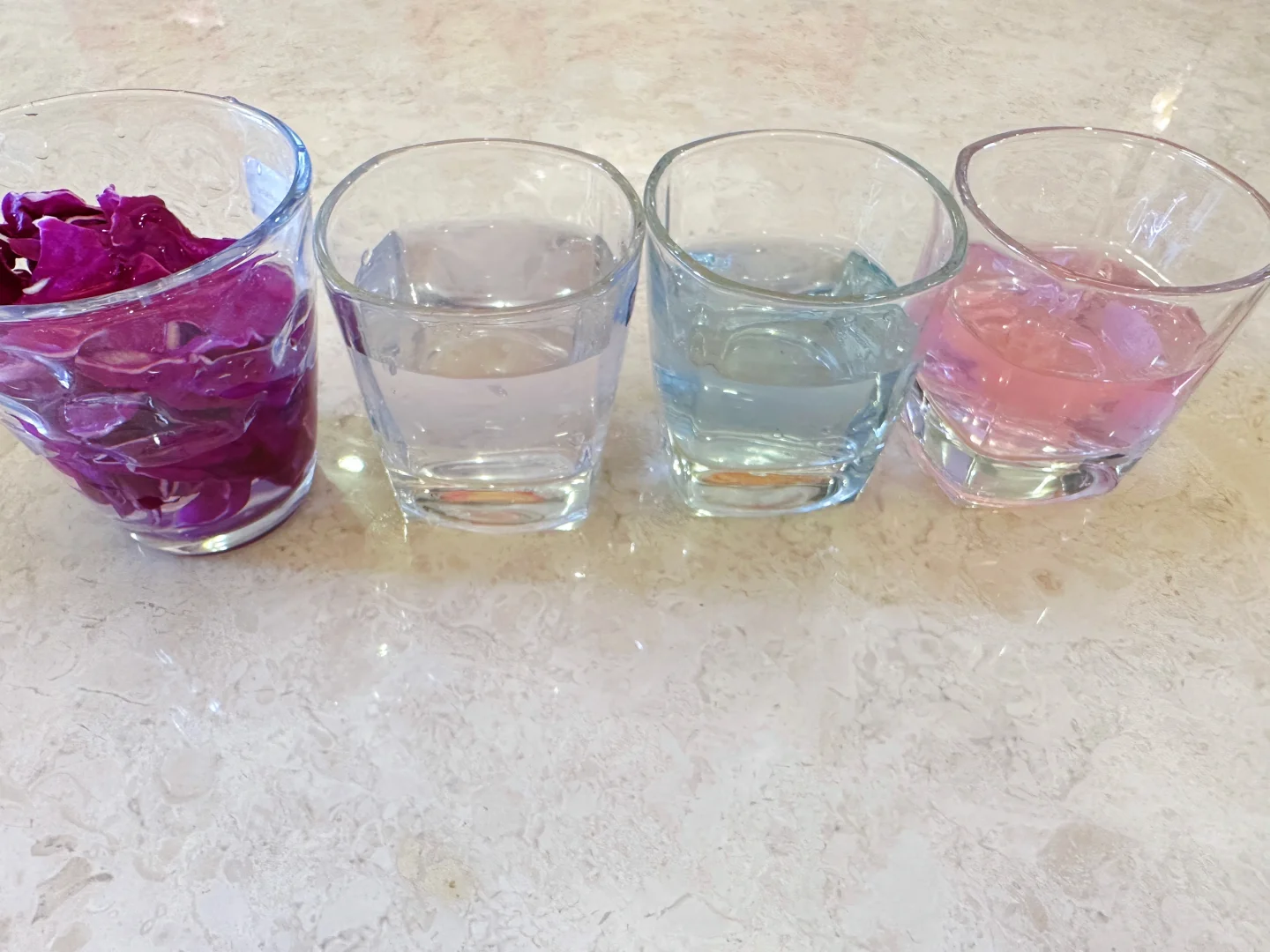紫甘蓝变色实验研究报告