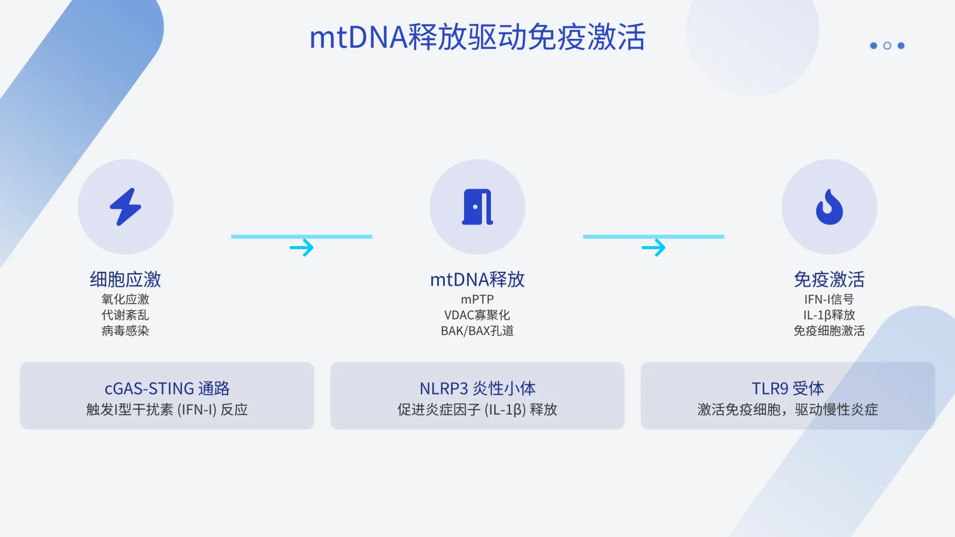 研究生必看 | 组会PPT一晚逆袭经验