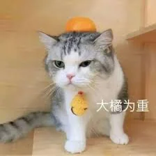 MKT要会Excel？熟练程度？