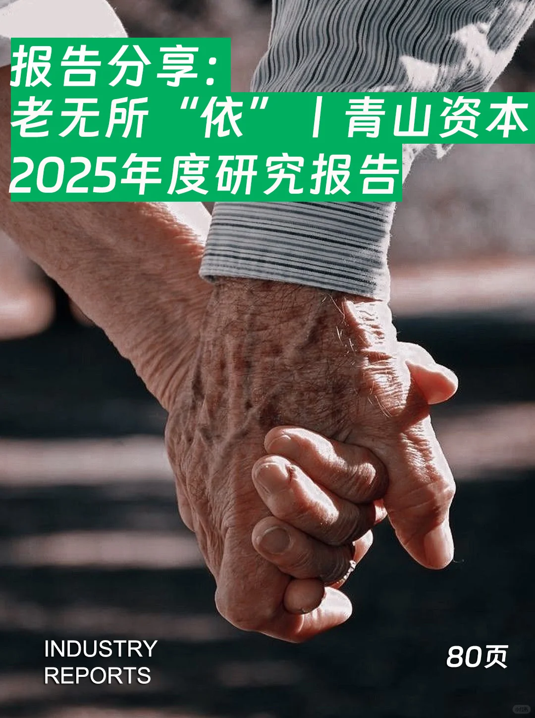 老无所“依”丨青山资本2025年度研究报告