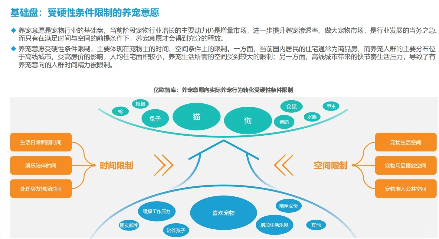 宠物行业研报分享！