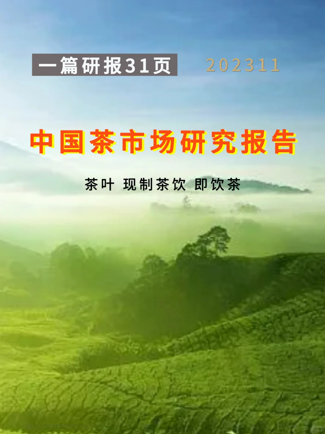 中国茶市场研究报告 231205