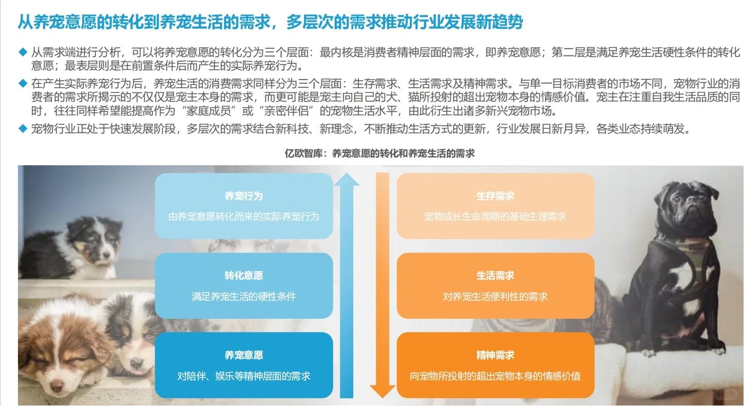 宠物行业研报分享！