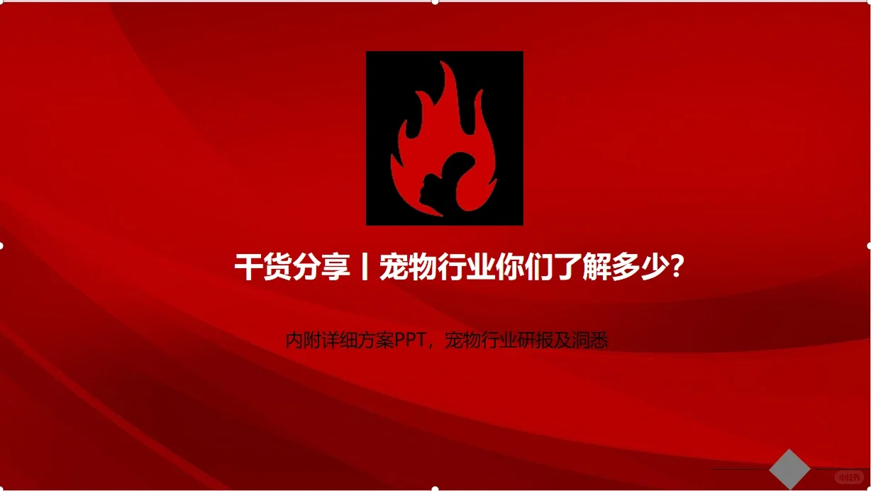 宠物行业研报分享！
