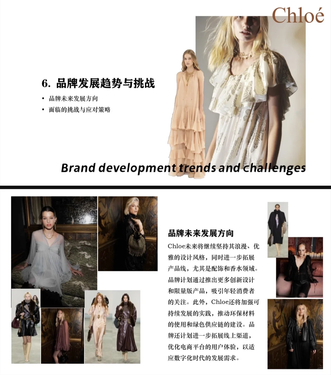 Chloé（蔻依）品牌调研PPT