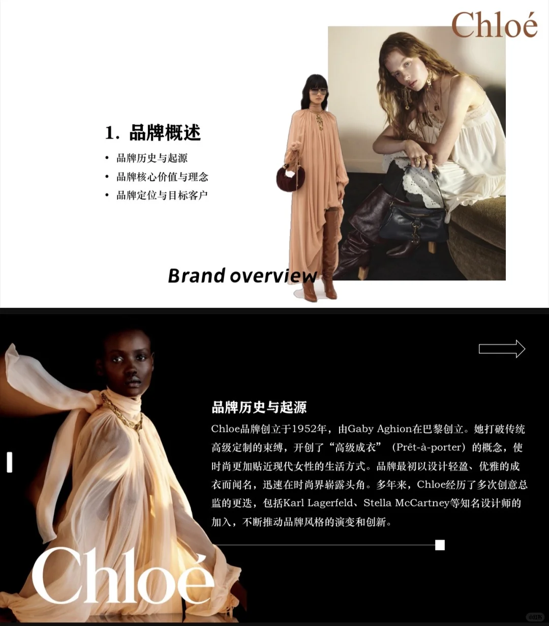 Chloé（蔻依）品牌调研PPT