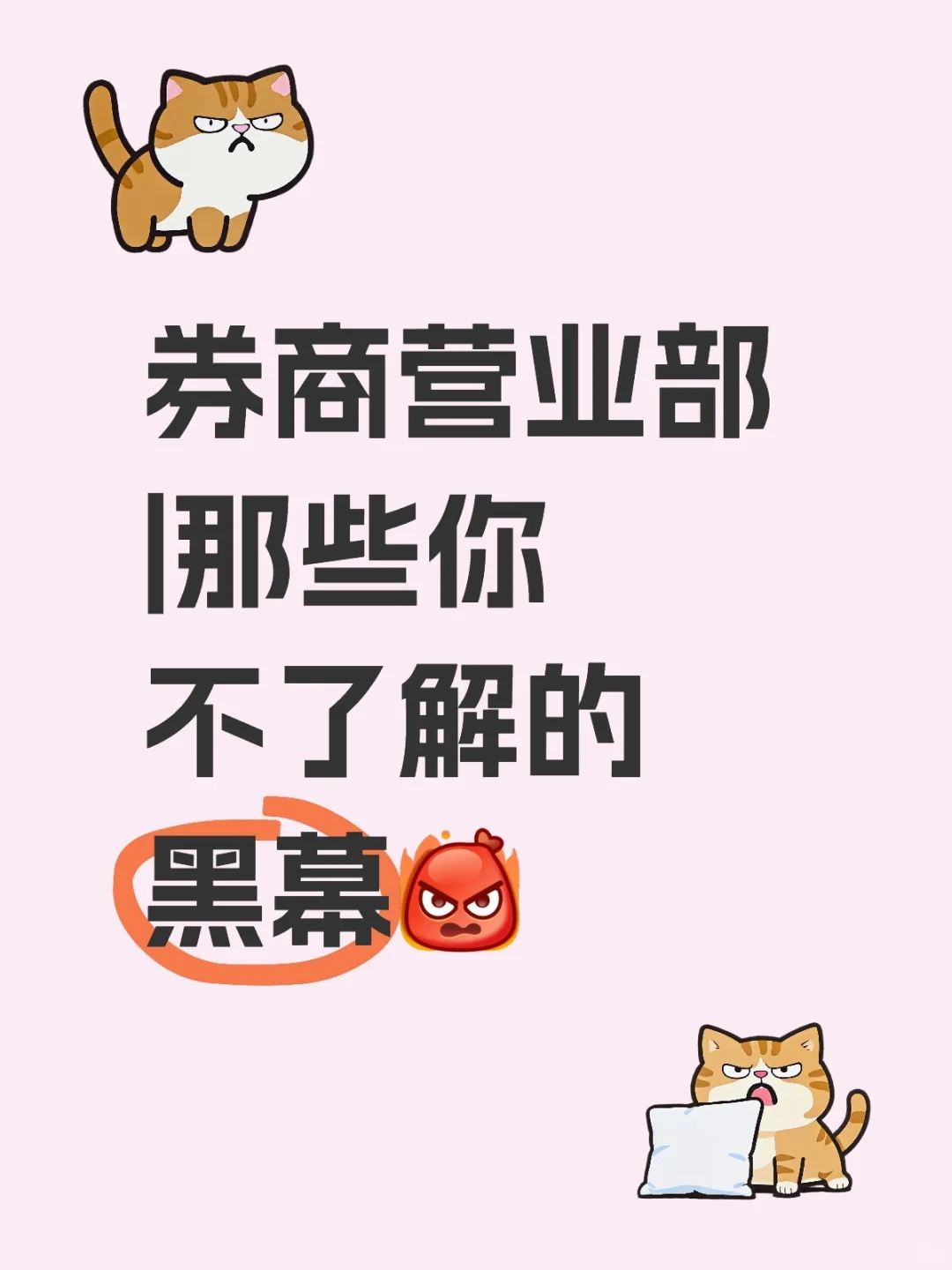 💌给即将成为券商营业部牛马们的一些忠告