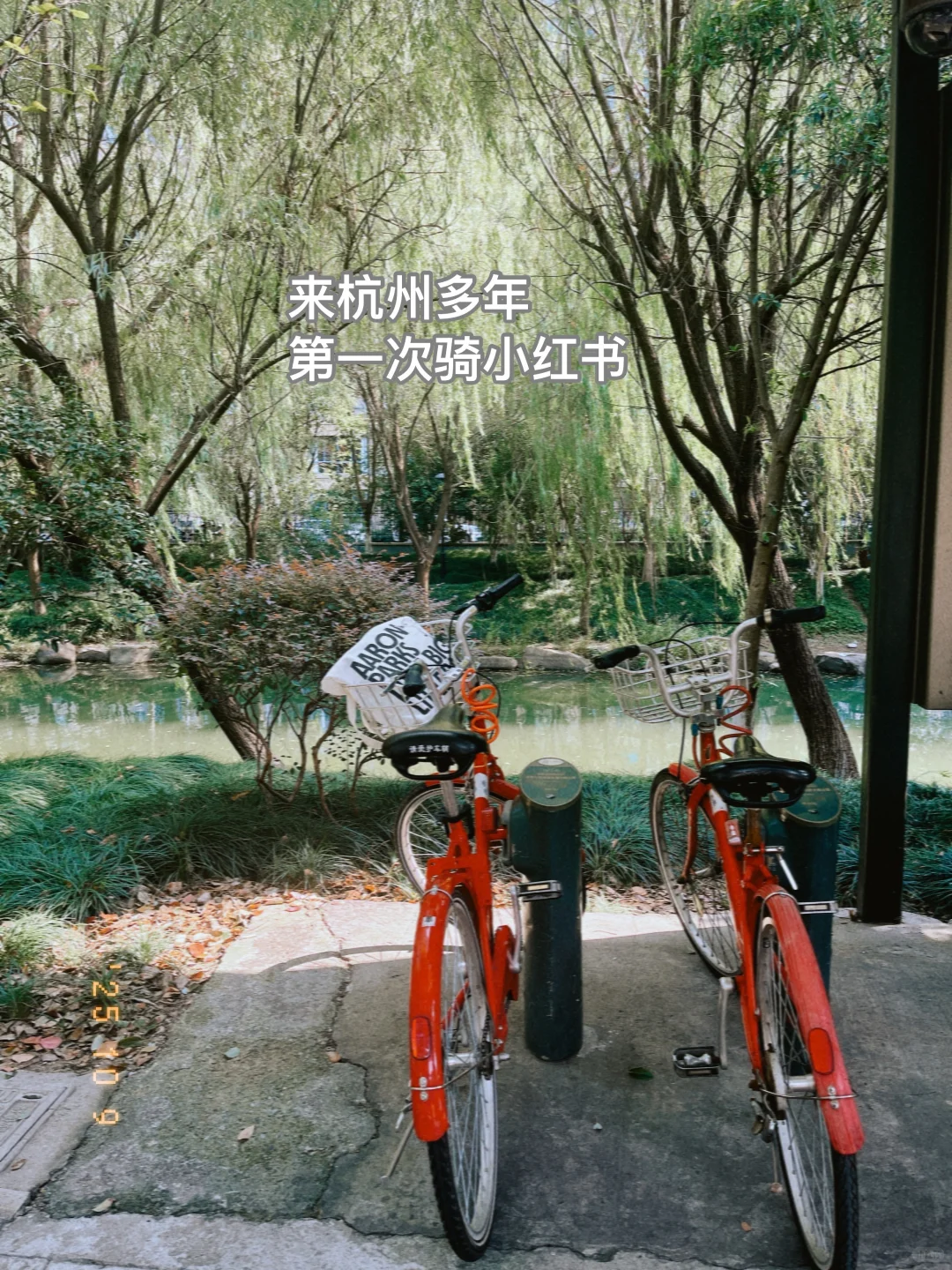市场调研｜各地时薪