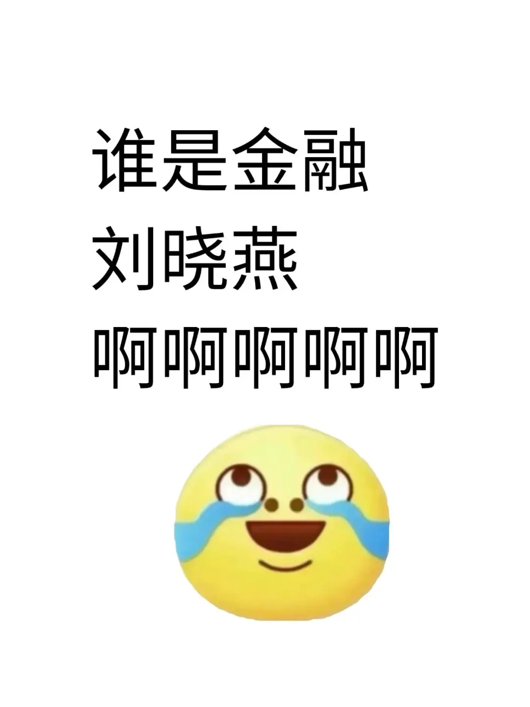 谁是金融刘晓燕啊啊啊啊啊