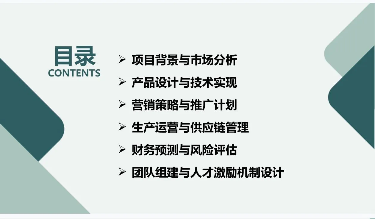 《智能导盲杖》创业计划书Word➕PPT