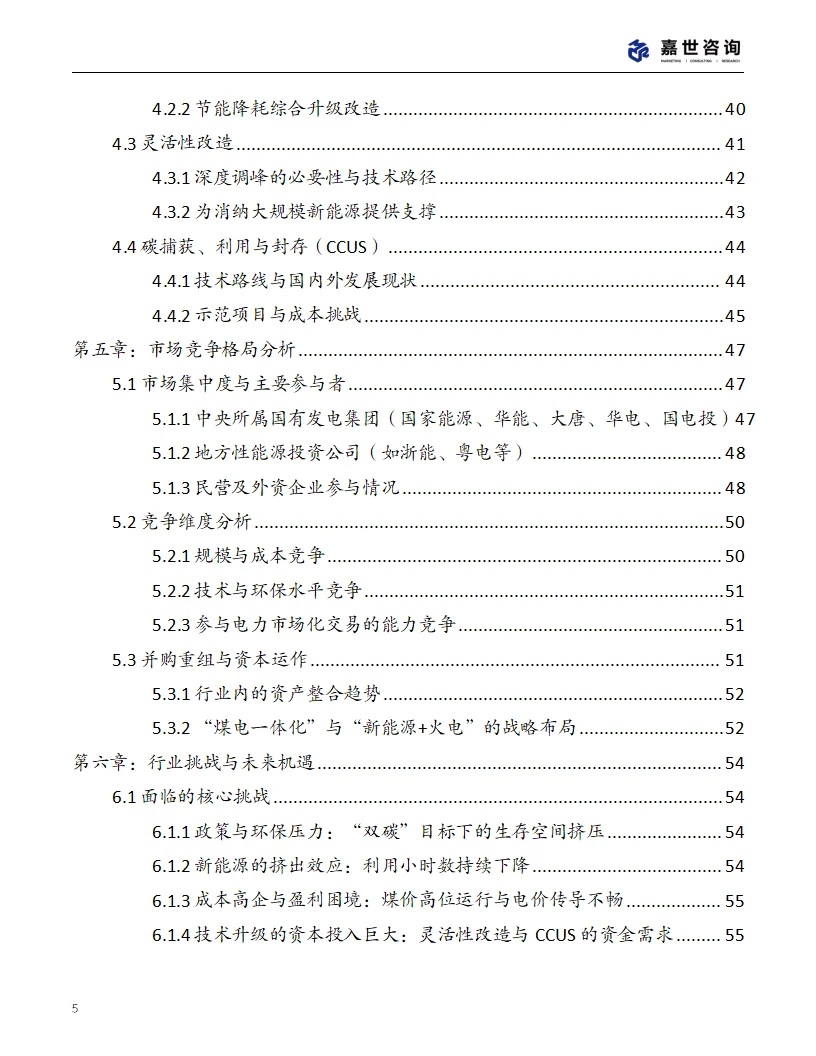 2025年中国火力发电行业现状报告