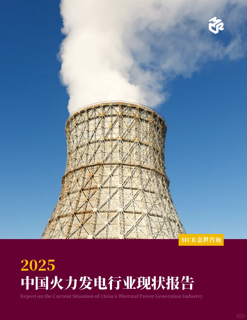 2025年中国火力发电行业现状报告