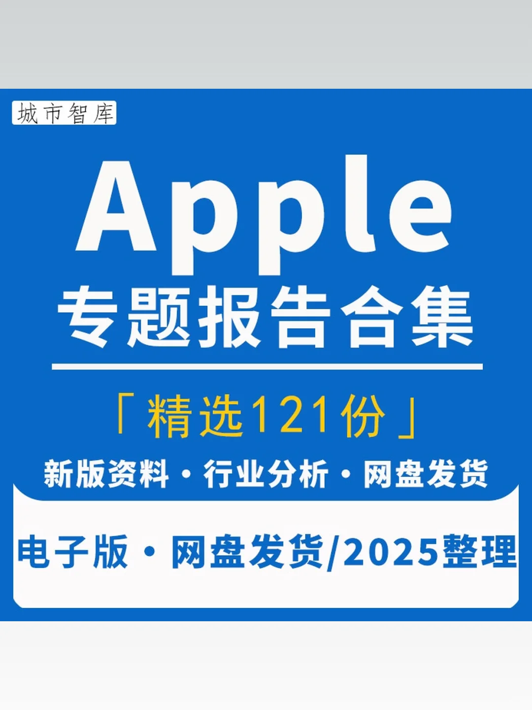 2025苹果MR市场研究报告Apple消