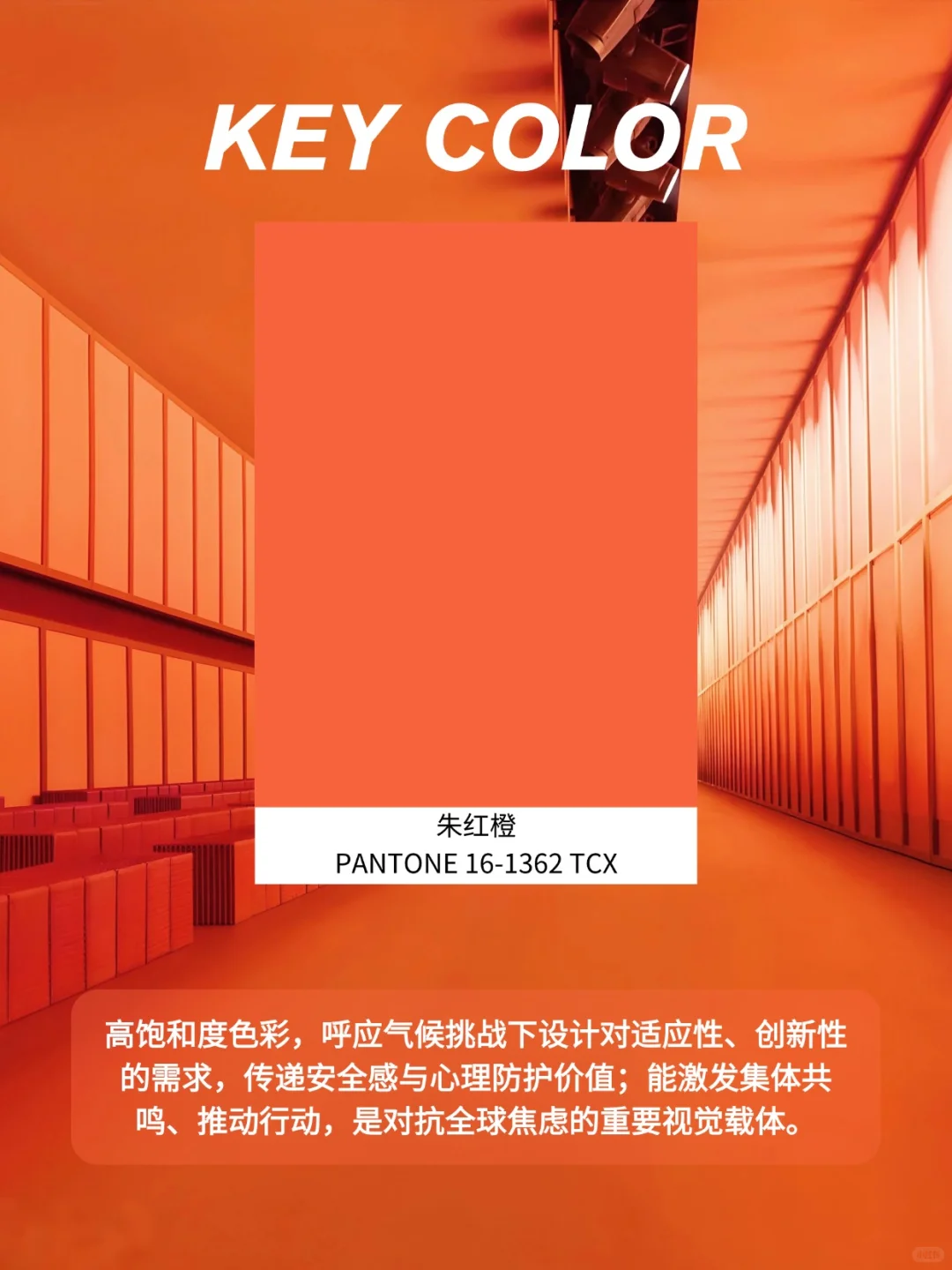 2027春夏五大关键色系 | 收藏这篇就够了