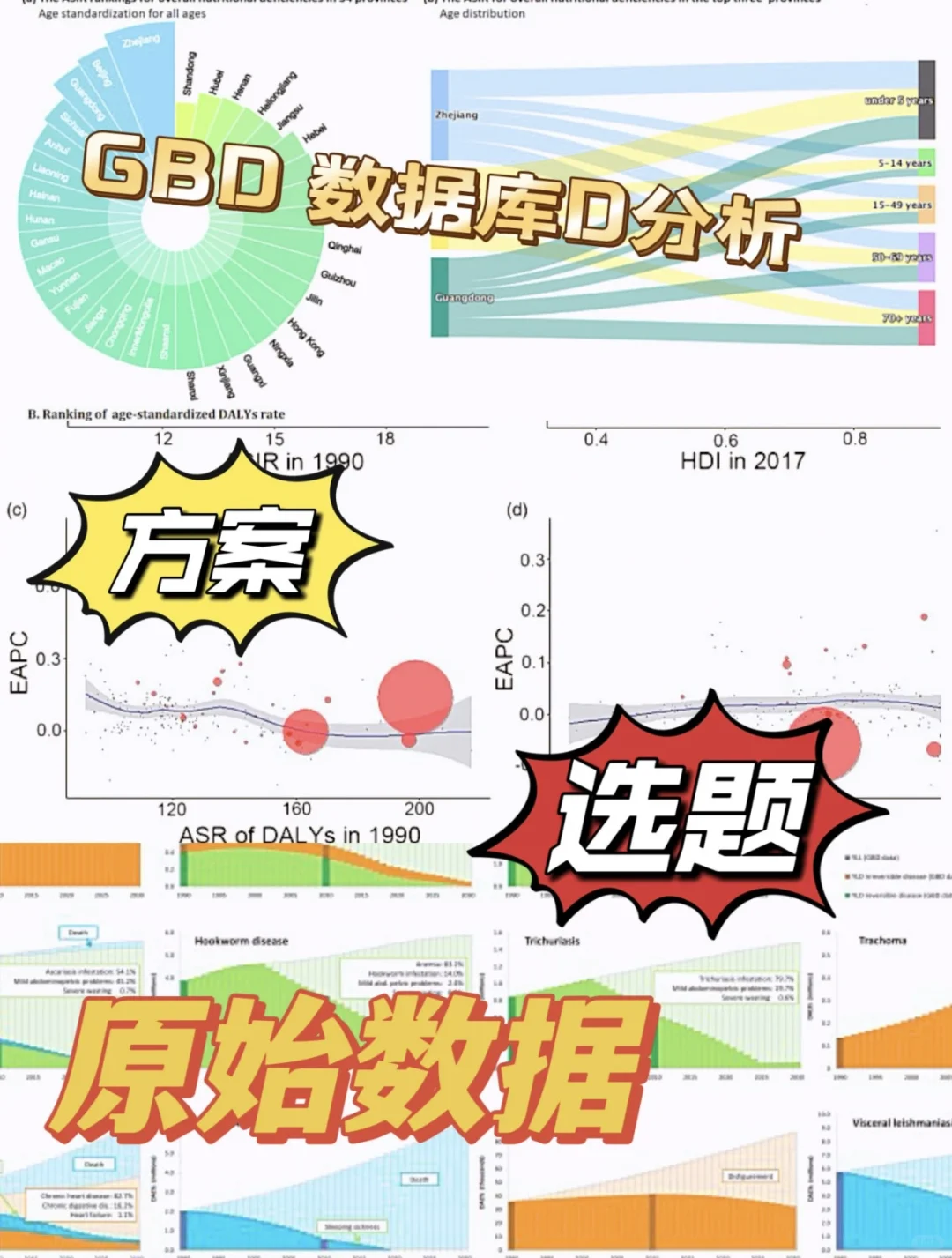 GBD数据库dai分析