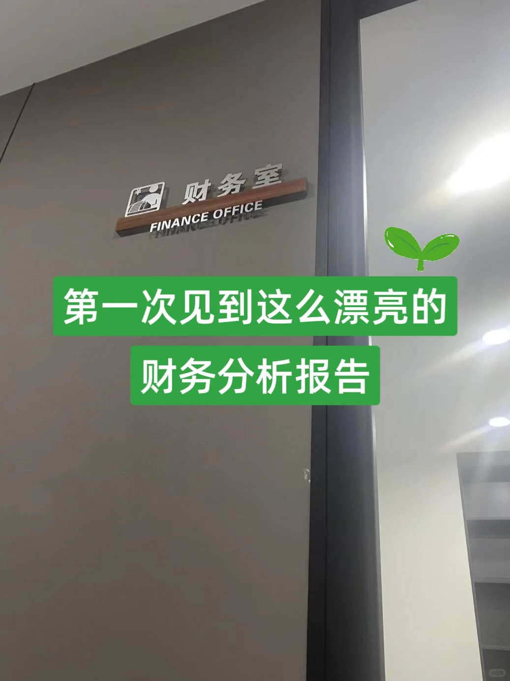 头一次见这么漂亮的财.务数据分析报告！