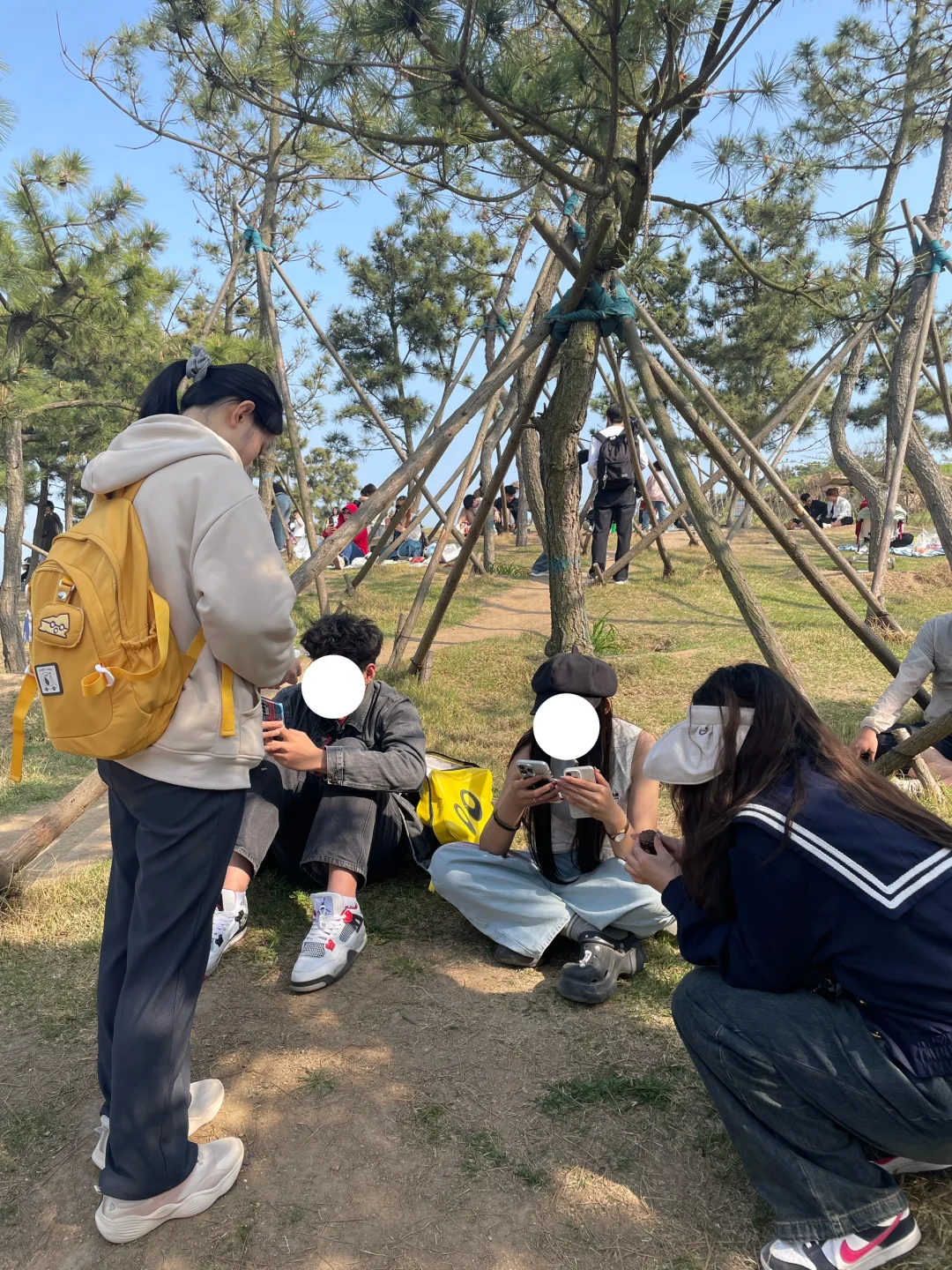 在小麦岛能遇到什么